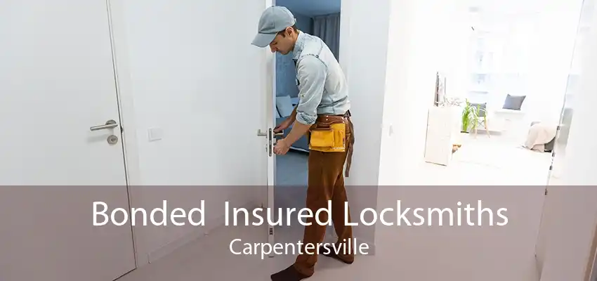 Bonded  Insured Locksmiths Carpentersville