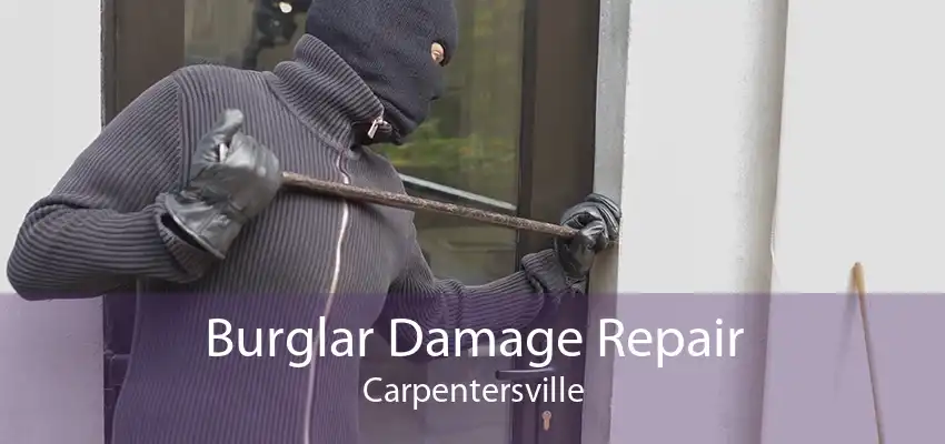 Burglar Damage Repair Carpentersville
