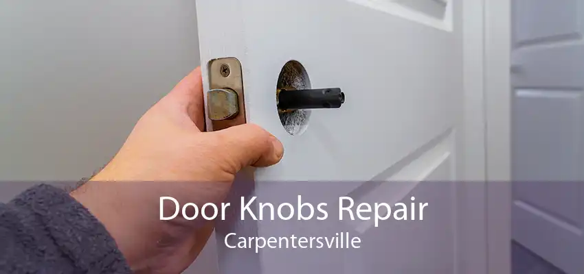 Door Knobs Repair Carpentersville
