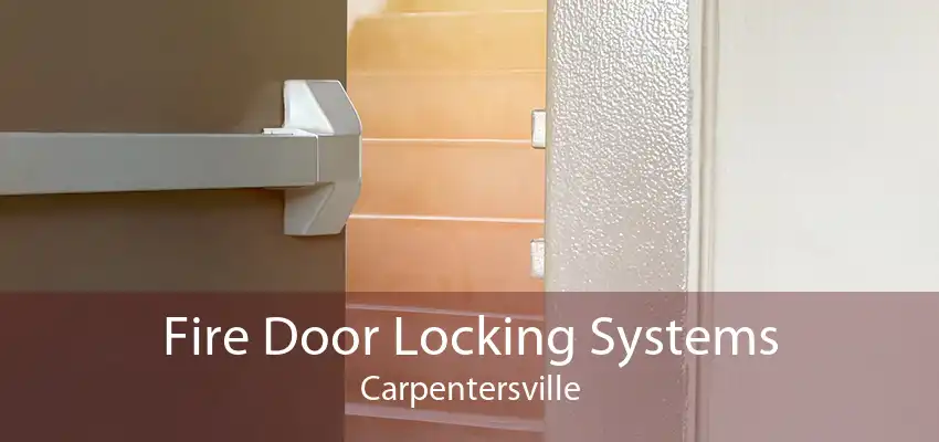 Fire Door Locking Systems Carpentersville