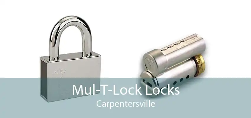 Mul-T-Lock Locks Carpentersville