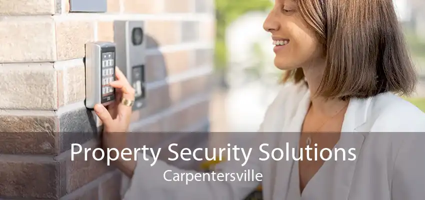 Property Security Solutions Carpentersville