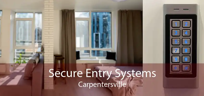Secure Entry Systems Carpentersville